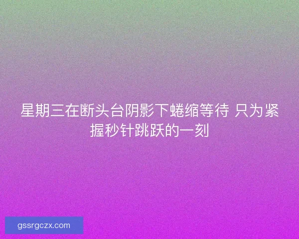 星期三在断头台阴影下蜷缩等待 只为紧握秒针跳跃的一刻